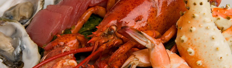 Lobster and seafood photo